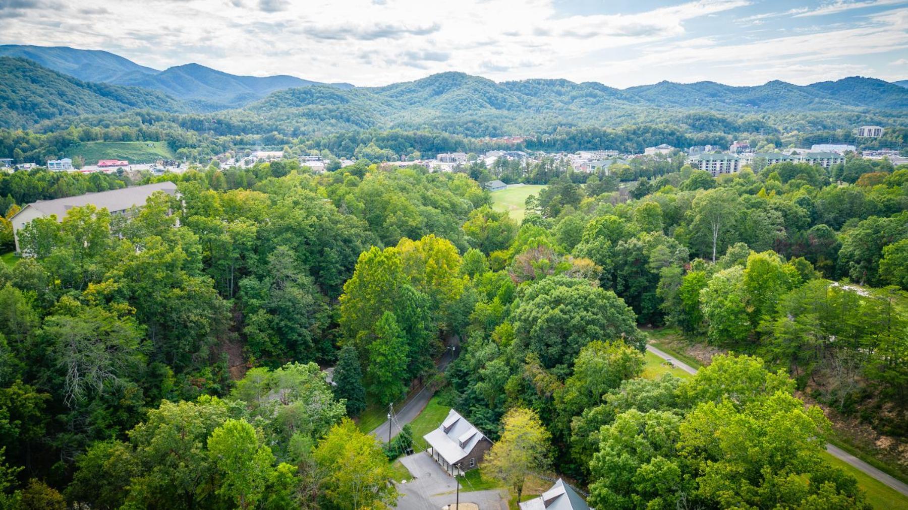 Bear Clubhouse Hot Tub, 1Mile From The Parkway, 900 In Free Tickets! Villa Pigeon Forge Eksteriør bilde